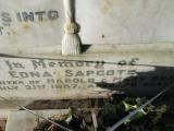 image of grave number 381007